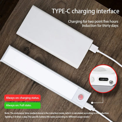 Slim Motion Sensor Light